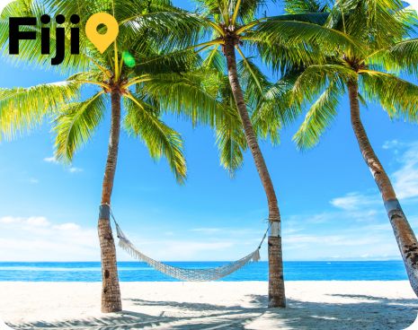 hammock between two palm trees on a beach in Fiji