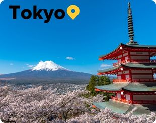 Tokyo temple 