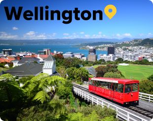 Red trams and Wellington Harbour 